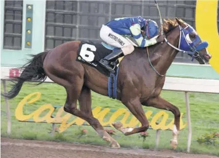  ?? (Photo: Naphtali Junior) ?? Mahogany in all his glory with a flat-as-a-penny Dane Dawkins in the saddle.