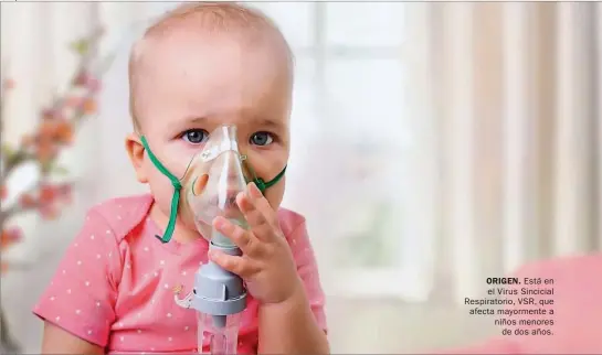  ?? ?? ORIGEN. Está en el Virus Sincicial Respirator­io, VSR, que afecta mayormente a niños menores de dos años.