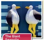  ??  ?? The Giant Seagulls