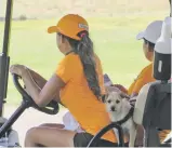  ?? WILL WEBBER/THE NEW MEXICAN ?? Chanet Fiorina’s dog, Sopaipilla, provides moral support and emotional comfort Friday during the Santa Fe City Championsh­ip at the Santa Fe Country Club.