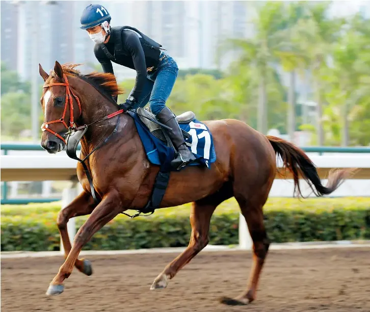 Heavy Hanshin could level field PressReader