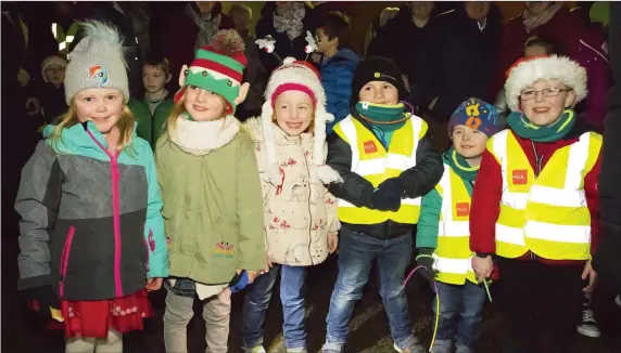  ??  ?? Sarah Doran, Ava Murphy, Robin Hickey, Cathal and Cillian Cleary and Liam Fitzpatric­k at the switching on of the Christmas lights in Rathgarogu­e.