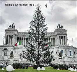  ??  ?? Rome’s Christmas Tree