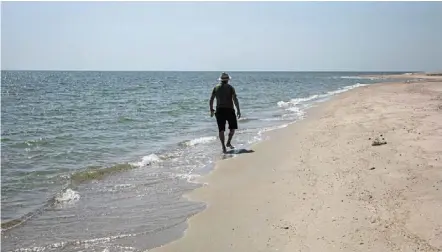  ?? — AFP ?? rusev walking along the shore of the black sea looking for dead dolphins at the Limans Tuzly Lagoons National Nature park, near the village of prymorske recently, amid the russian invasion of ukraine.
