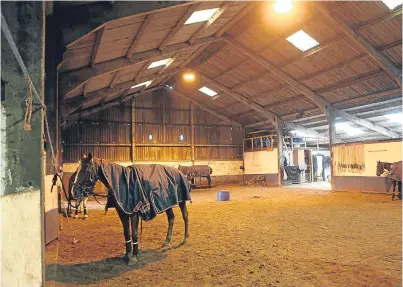  ?? Pictures: Kris Miller. ?? Clockwise, from top left: members of Kinross Polo club; Thom Bell with partner Gilly; and some of the facilities for horses.