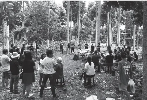  ??  ?? MEMBERS of the Mindanao Philippine Native Tree Enthusiast­s (MPNTE) gather under the canopy of lawaan trees in Riverside, Calinan. Enthusiast­s from as far as Iligan, Kidapawan, Mati, Nabunturan, Toril and Samal Island shared expertise and exchanged native tree seedlings. The group’s t-shirt reads: “Growing Native Trees is Better, Together.” Photo by ARNOLD VANDENBROE­CK