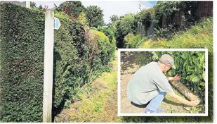  ??  ?? Bomb disposal team were called to an alleyway off Wensley Drive in Accrington after resident Graham Walsh found an unknown object while replacing fence posts (inset)