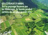  ??  ?? LES COTEAUX D’ARBIN. Sur ce paysage façonné par les Allobroges, la Savoie produit certains de ses plus grands vins.