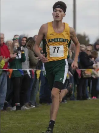  ?? JEN FORBUS — FOR THE MORNING JOURNAL ?? Amherst Steele senior Josh Hill wins the Division I boys cross country district meet at Lorain County Community College on Oct. 20.