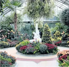  ??  ?? If you love the warm yellow, oranges and reds of autumn, stop by the central house at the Floral Showhouse where 235 exhibition, bush, cushion and cascade chrysanthe­mums create a blazing display of colour.