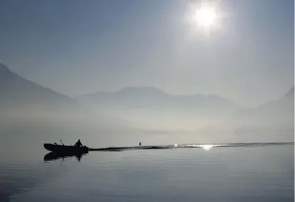  ??  ?? Im Mondsee leben bereits wärmeliebe­nde Fischarten wie Welse, die es früher nur in Kärntner Seen gab. „Das Ökosystem verändert sich total“, sagen Experten.