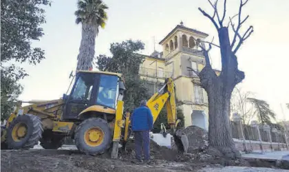  ?? VÍCTOR CASTRO ?? Operarios de Parques y Jardines colaboran en la extracción del olmo del Marrubial.