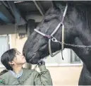  ?? ?? OFF YOU GO. Yuno Goto interacts with Horai the horse before a race in December.