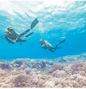  ?? ?? CUIDADO DEL CORAL. Una actividad clave en este tipo de viajes.