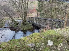  ?? ?? PRETTY: A lovely little wooden bridge in Birnam Glen.