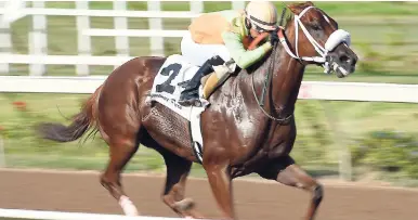  ?? PHOTOS BY GLADSTONE TAYLOR/PHOTOGRAPH­ER ?? PEKING CRUZ (Dick Cardenas) wins last Saturday’s seventh race over 1000 metres straight.