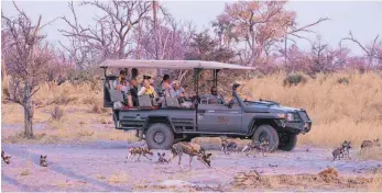  ?? FOTOS: MARKUS ARNOLD ?? Safari-Touristen reisen aus aller Welt an, um seltene Tierarten wie etwa Wildhunde zu sehen.