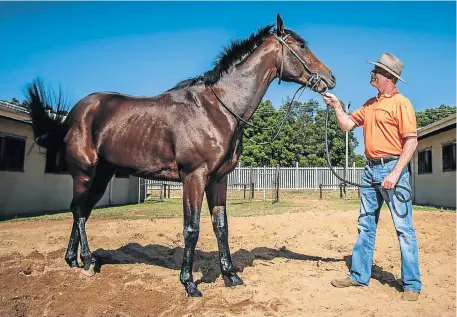  ?? Picture: WALDO SWIEGERS ?? WINNING TEAM: Trainer Geoff Woodruff with Louis The King at the North Rand Training Centre in Midrand, north of Johannesbu­rg