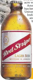  ?? ?? Red Stripe has been including cassava in its beer to replace imported corn syrup.