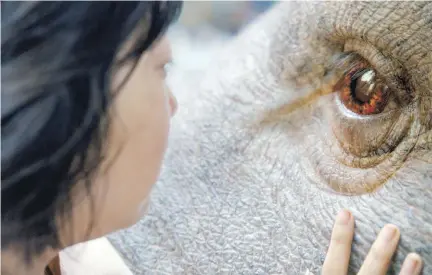  ?? NETFLIX ?? An Seo Hyun befriends a giant pig in Okja. There is much to enjoy in the film, even if the screenplay is a tad overstuffe­d.