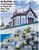 ?? ?? IN BLOOM: Hydrangeas in Agua de Pau, Sao Miguel