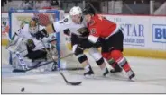  ?? PHOTO BY ANDY CAMP ?? Peter MacArthur, right, battles Newfoundla­nd’s Kyle Cumiskey for the puck during the Thunder’s 5-1 victory on Tuesday. MacArthur extended his scoring streak to six games by recording the contest’s first goal.