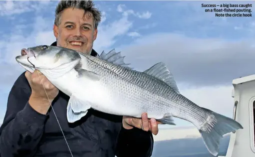  ??  ?? Success – a big bass caught on a float-fished pouting. Note the circle hook