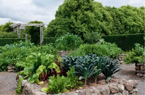  ??  ?? THIS PAGE (from top) The macrocarpa pergola leads to Moira’s prolific potager, which sits within a clipped hedge of Escallonia ‘Fielders White’: “There are too many vegetables for us to eat,” she says of the gardens, which are enriched with horse manure, grass clippings, eggshells and coffee grounds; rainbow silverbeet, perpetual spinach and kale grow in the foreground. Moira gives granddaugh­ters Lux and Sadie a lesson in pea-shucking.