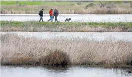  ?? ARIC CRABB/STAFF ARCHIVES ?? The trails at Fremont’s Coyote Hills Regional Park draw hikers, joggers and birdwatche­rs.