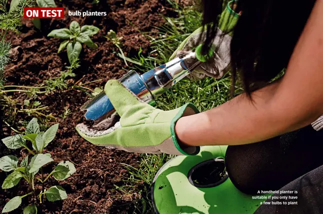  ?? ?? A handheld planter is suitable if you only have a few bulbs to plant