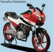  ??  ?? 2006 We built the Yamaha Gladiator