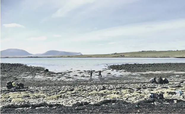  ??  ?? 0 Researcher­s from the University of the Highlands and Islands working at Bay of Ireland have found tree stumps and roots dating back 6,000 years