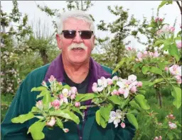  ?? STEVE MacNAULL/The Okanagan Saturday ?? B.C. Fruit Growers’ Associatio­n president Fred Steele, pictured here among blooming Gala apple trees at his North Glenmore farm, is happy the Valley’s orchard industry is on the rebound.