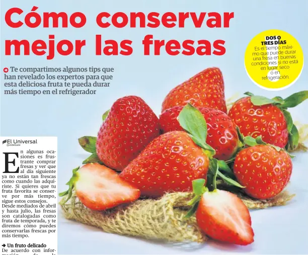 Comprar y Conservar las Fresas Frescas