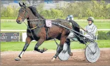  ??  ?? Cyril Gazengel en pleine action à l’hippodrome de Beaumontde-lomagne.