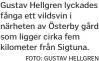  ?? FOTO: GUSTAV HELLGREN ?? Gustav Hellgren lyckades fånga ett vildsvin i närheten av Österby gård som ligger cirka fem kilometer från Sigtuna.