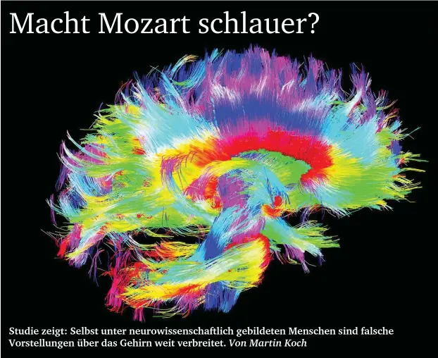  ?? Abb.: Courtesy of the Laboratory of Neuro Imaging and Martinos Center for Biomedical Imaging, Consortium of the Human Connectome Project ??