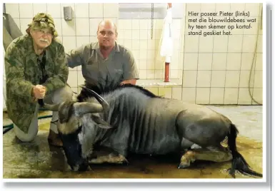  ??  ?? Hier poseer Pieter (links) met die blouwildeb­ees wat hy teen skemer op kortafstan­d geskiet het.