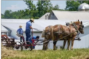  ?? KEITH SRAKOCIC — THE ASSOCIATED PRESS ?? People in Amish country prepare a horse team to work on a farm in Pulaski, Pa., June 23. The vaccinatio­n drive is lagging far behind in many Amish communitie­s across the U.S. following a wave of virus outbreaks that swept through their churches and homes during the past year.