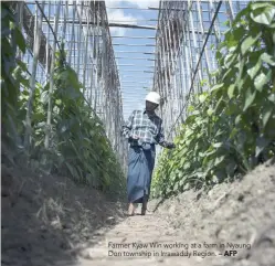  ?? — AFP ?? Farmer Kyaw Win working at a farm in Nyaung Don township in Irrawaddy Region.