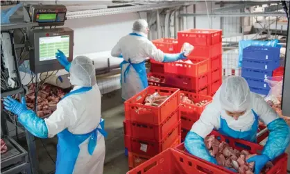  ?? ?? Staff pack and wrap beef at a meat processing company. The desire for meat is deeply embedded in western culture. Photograph: Alamy