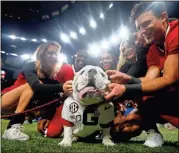  ?? AP - Brett Duke, file ?? Uga, Georgia’s beloved bulldog mascot, will not be roaming the sideline of Sanford Stadium this season, nor will any other live mascots.