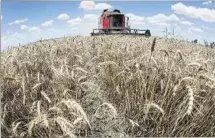  ??  ?? AGRO. Es el sector más endeudado en relación a su producción.