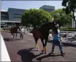  ?? ASHLEY LANDIS - THE ASSOCIATED PRESS ?? In this Friday, May 22, 2020 photo, grooms wearing face masks lead horses to the paddock at Santa Anita Park in Arcadia, Calif.