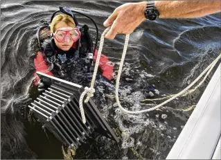  ?? PHOTOS BY LANNIS WATERS / THE PALM BEACH POST ?? Palm Beach State College professor Jessica Miles takes hold of a reef monitoring unit she will position underwater off the Jupiter Inlet Lighthouse with help from students and volunteers. The unit was one of three that Miles and her team placed Nov. 3.