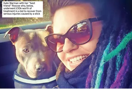  ?? ?? Kate Warman with her “best friend” Roscoe who, below, underwent £10k-worth of treatment in a bid to recover from serious injuries caused by a stick