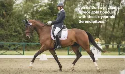  ??  ?? James Burtwell claims novice gold honours with the six-year-old Serendipit­ous