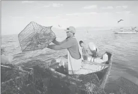  ?? Foto José Carlo González ?? Pescador seri prepara sus trampas en Sonora