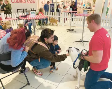  ?? SOUTHTOWN PHOTOS JESSIE MOLLOY/DAILY ?? Visitors to Saturday’s Pop Up Pup Cafe at Orland Square get to know some of the dogs available for adoption.