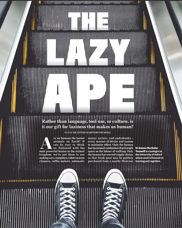  ??  ?? Dr Antone MartinhoTr­uswellis a zoologist at the University of Oxford whose work is focused on learning and cognition.